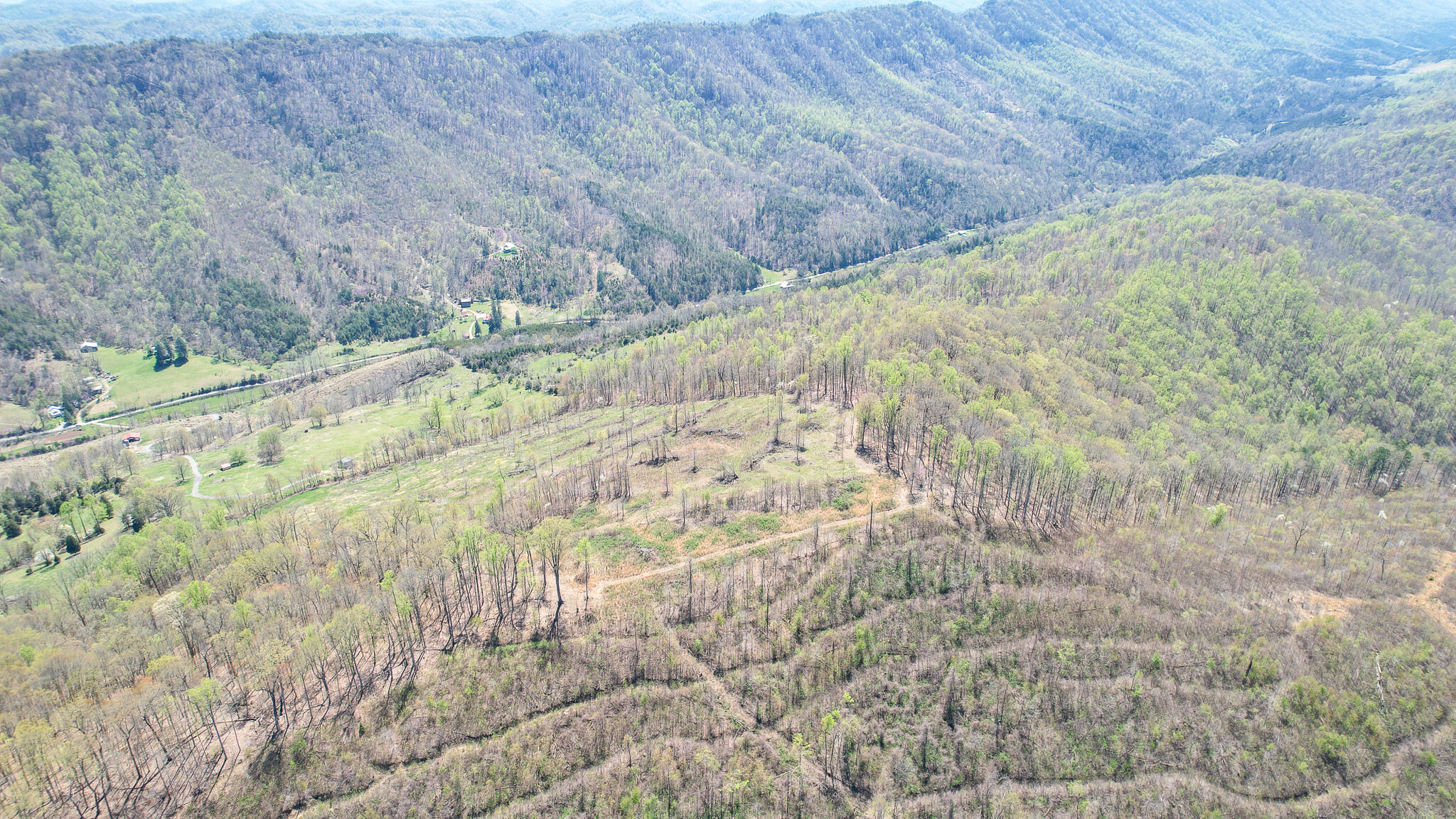 6149 Clinch Mountain Road Eidson, TN 37731 - Photo 19 of 46 DJI_0381
