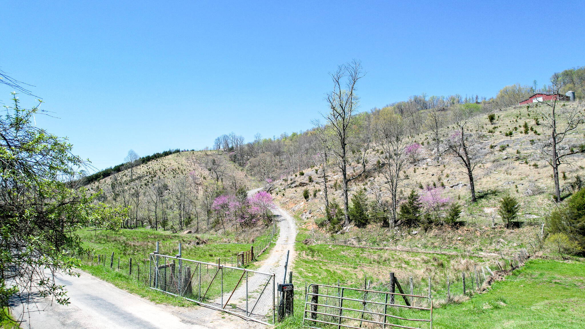 6149 Clinch Mountain Road Eidson, TN 37731 - Photo 2 of 46 DJI_0342