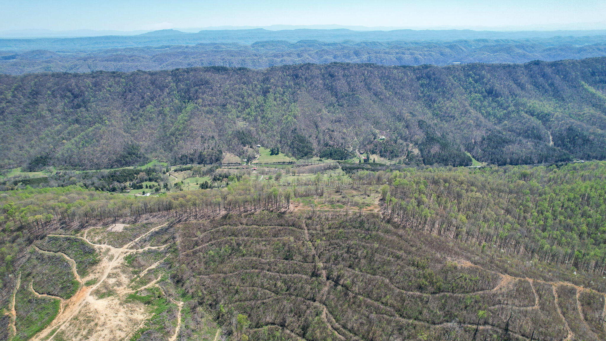6149 Clinch Mountain Road Eidson, TN 37731 - Photo 21 of 46 DJI_0386