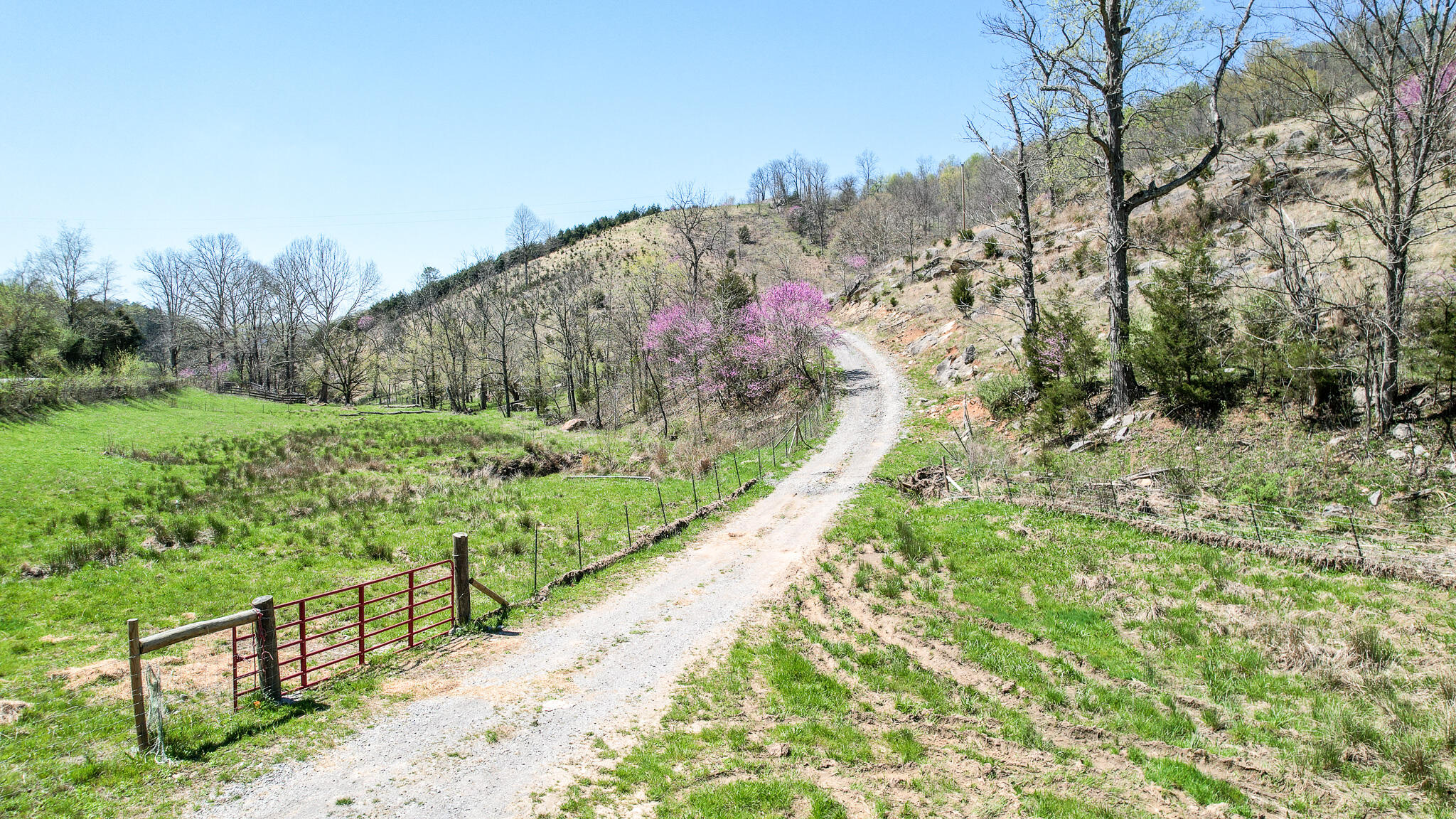 6149 Clinch Mountain Road Eidson, TN 37731 - Photo 26 of 46 DJI_0407