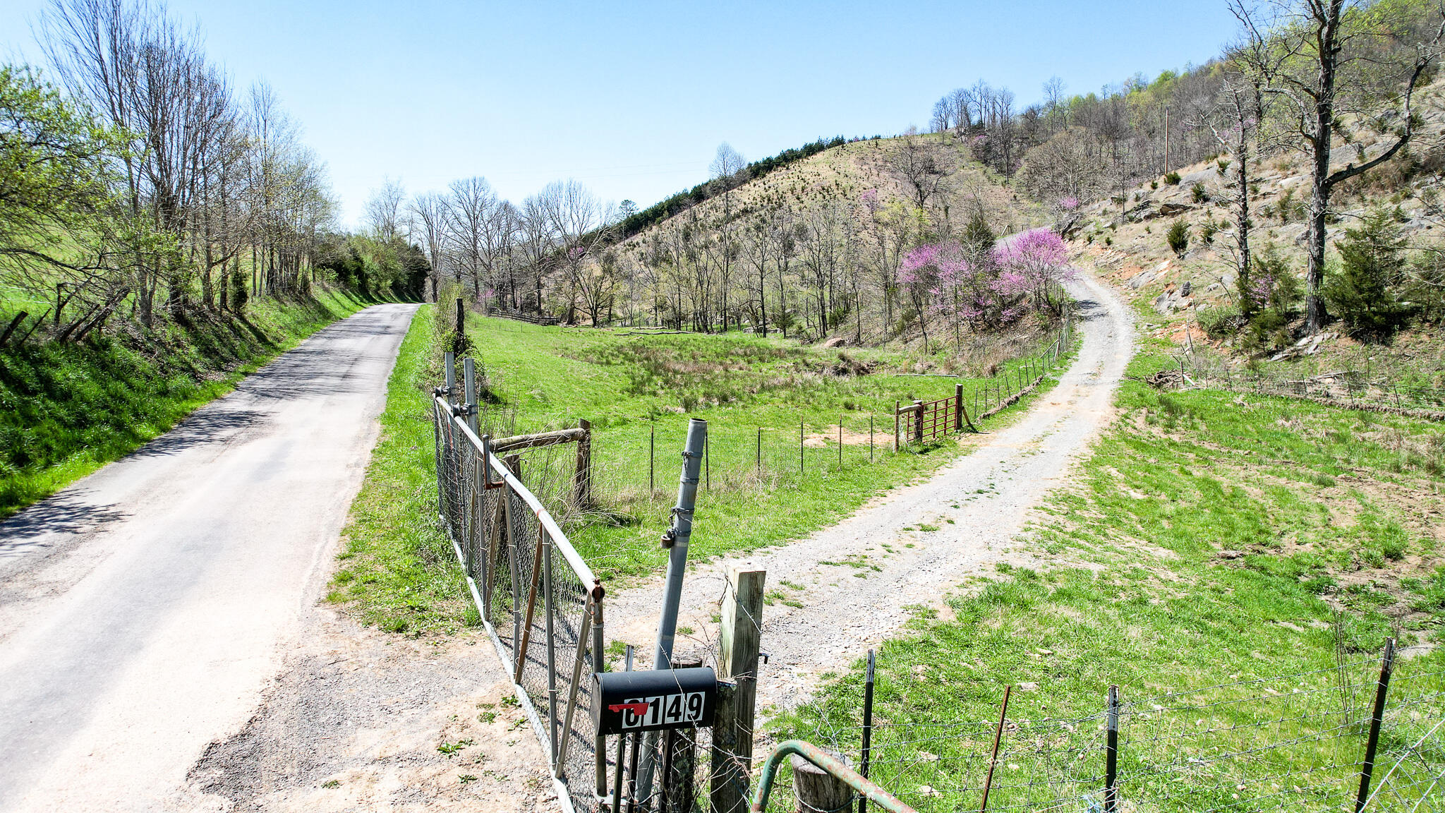 6149 Clinch Mountain Road Eidson, TN 37731 - Photo 28 of 46 DJI_0410