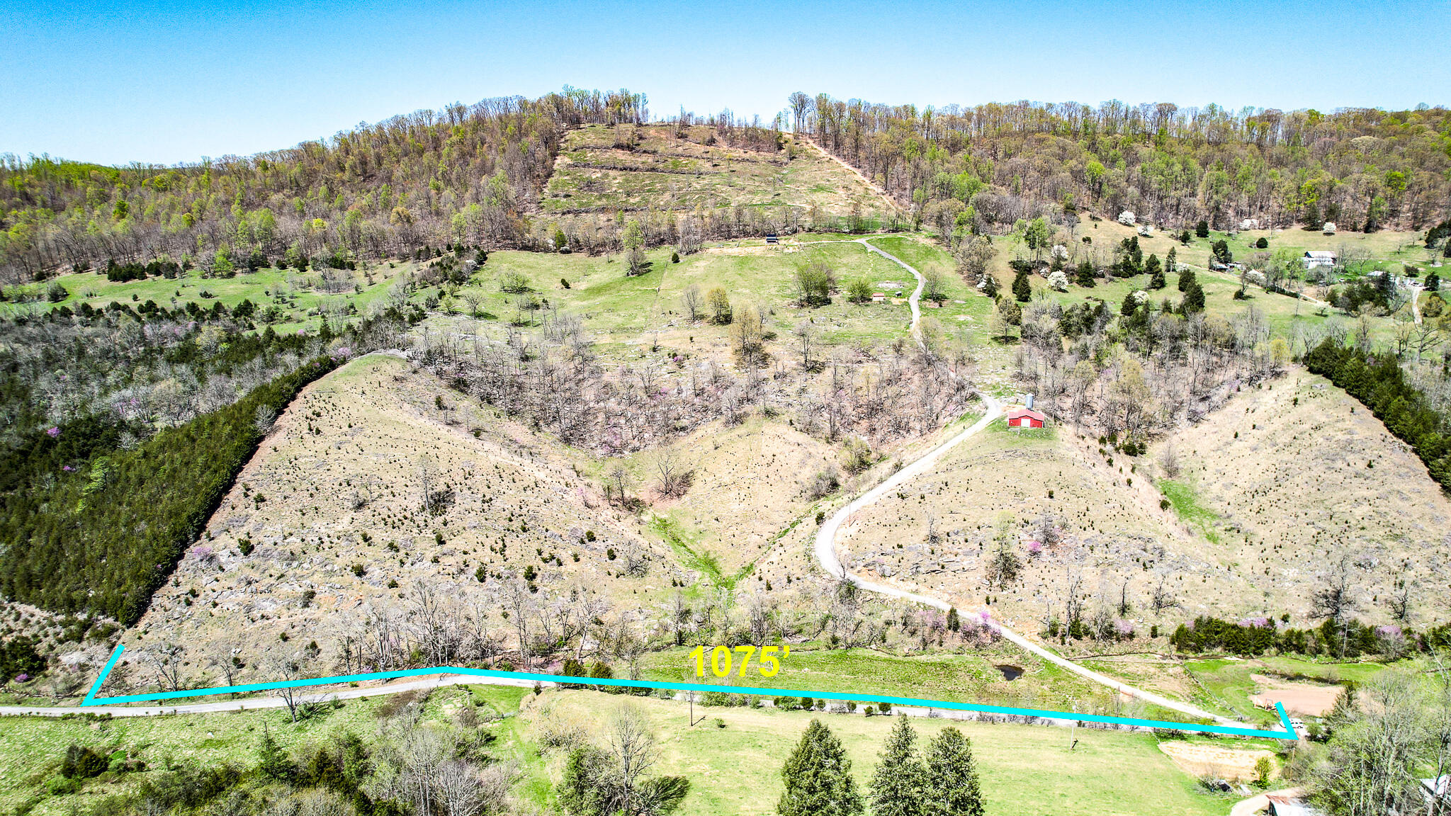 6149 Clinch Mountain Road Eidson, TN 37731 - Photo 3 of 46 DJI_0343-Edit