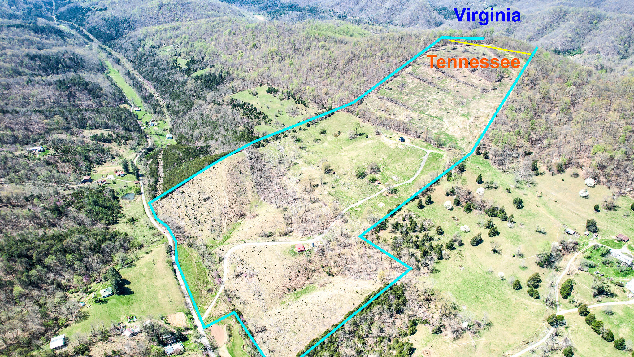 6149 Clinch Mountain Road Eidson, TN 37731 - Photo 4 of 46 DJI_0345-Edit