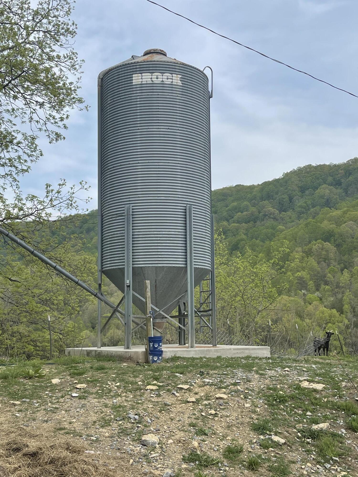 6149 Clinch Mountain Road Eidson, TN 37731 - Photo 41 of 46 DAD4BAD2-1238-4326-A356-FBA3CC9857AD