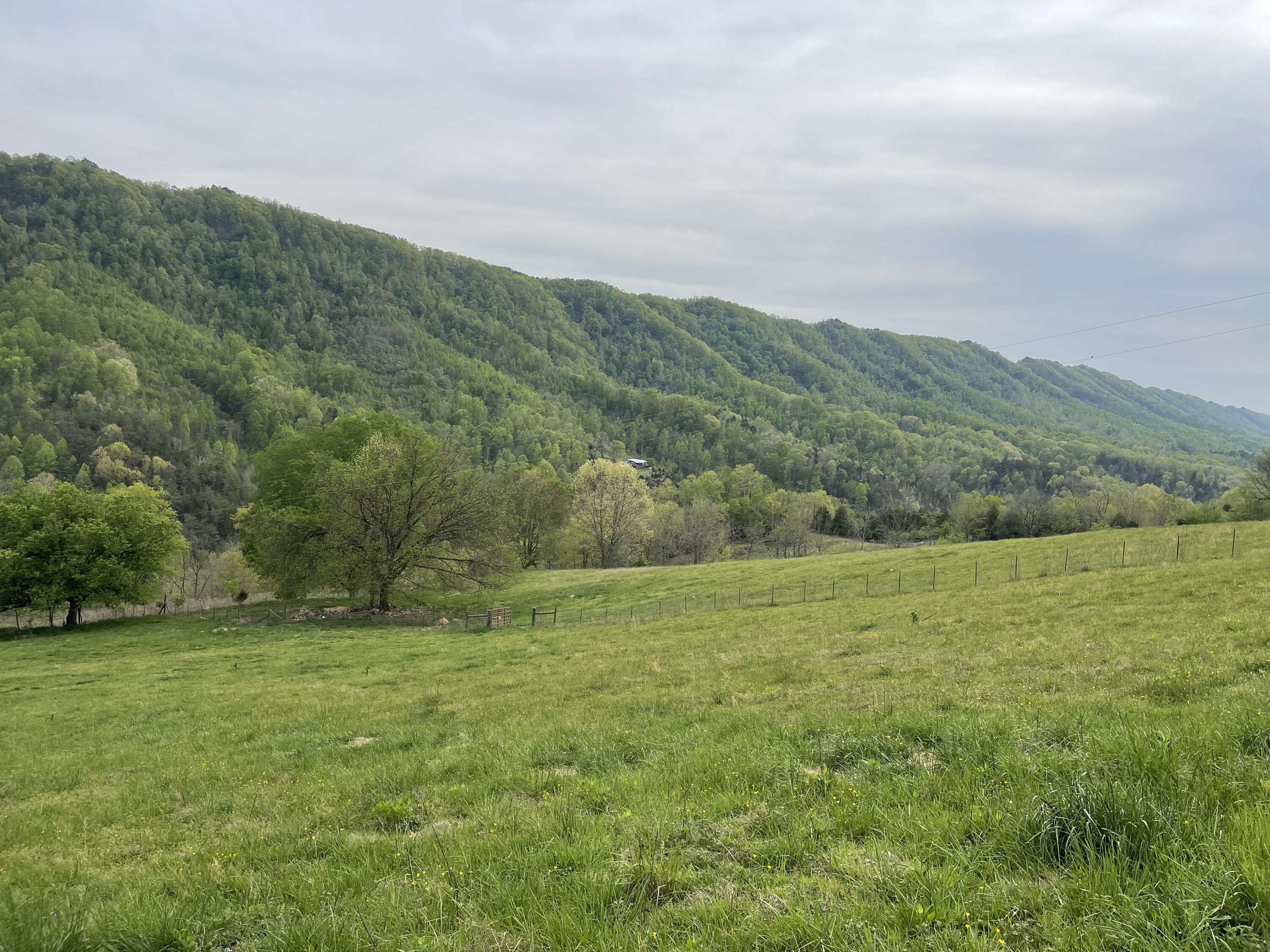 6149 Clinch Mountain Road Eidson, TN 37731 - Photo 43 of 46 9989F8DD-0DC0-4593-AEAA-F5AD5384DBD7