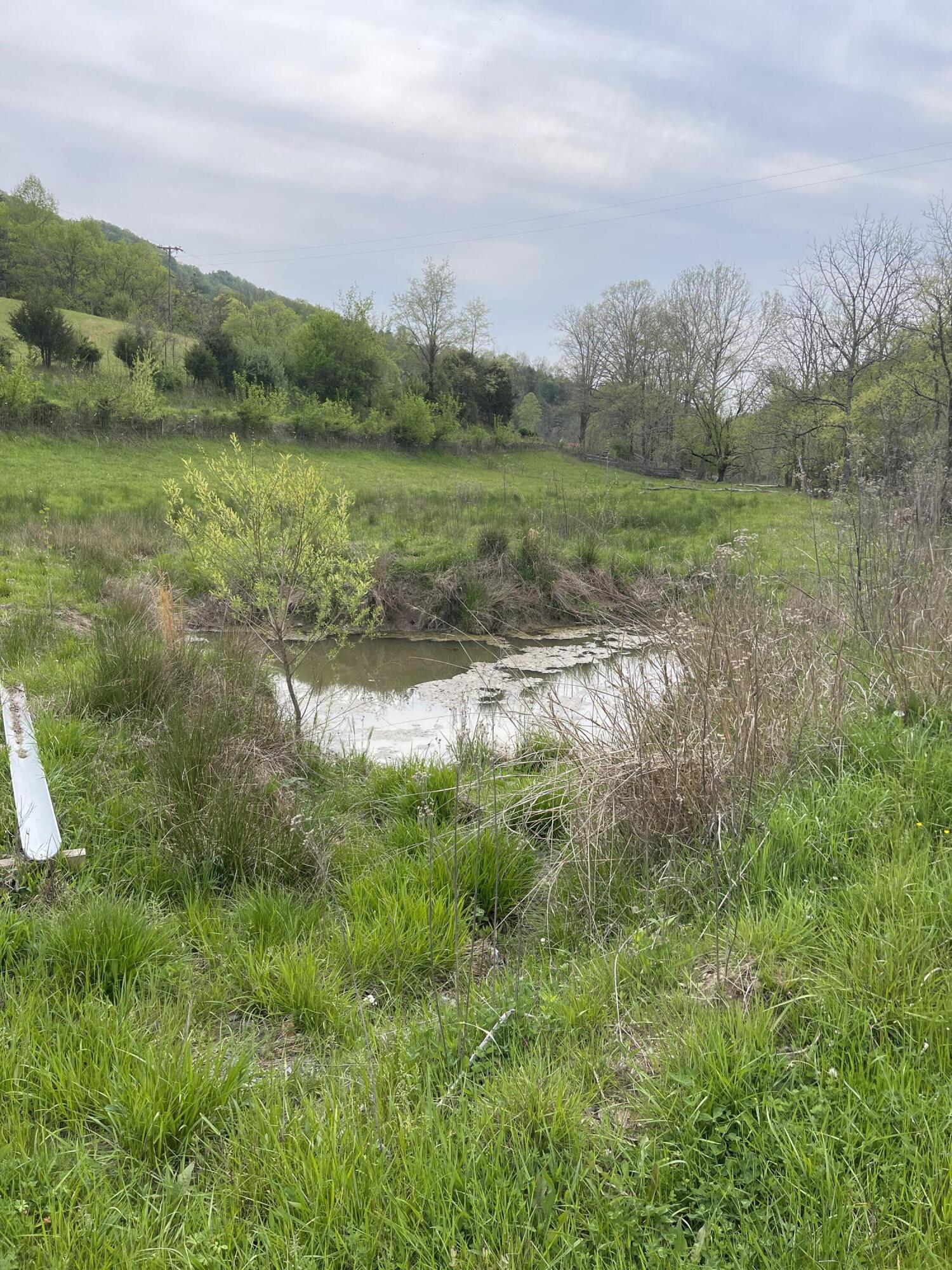 6149 Clinch Mountain Road Eidson, TN 37731 - Photo 46 of 46 2B9CA72F-1DE9-4D1E-8DC2-6AA54F406DEB