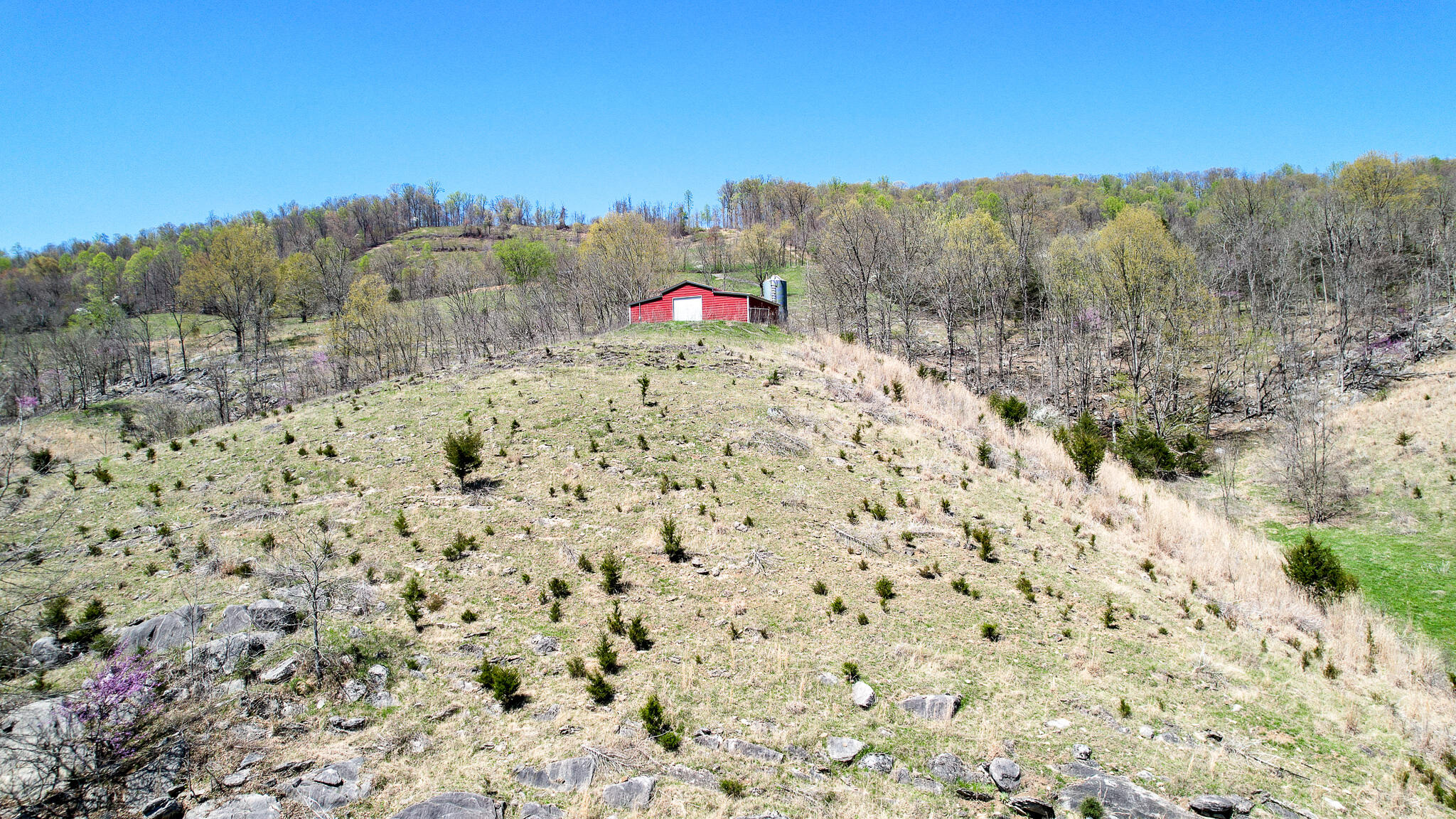 6149 Clinch Mountain Road Eidson, TN 37731 - Photo 5 of 46 DJI_0354