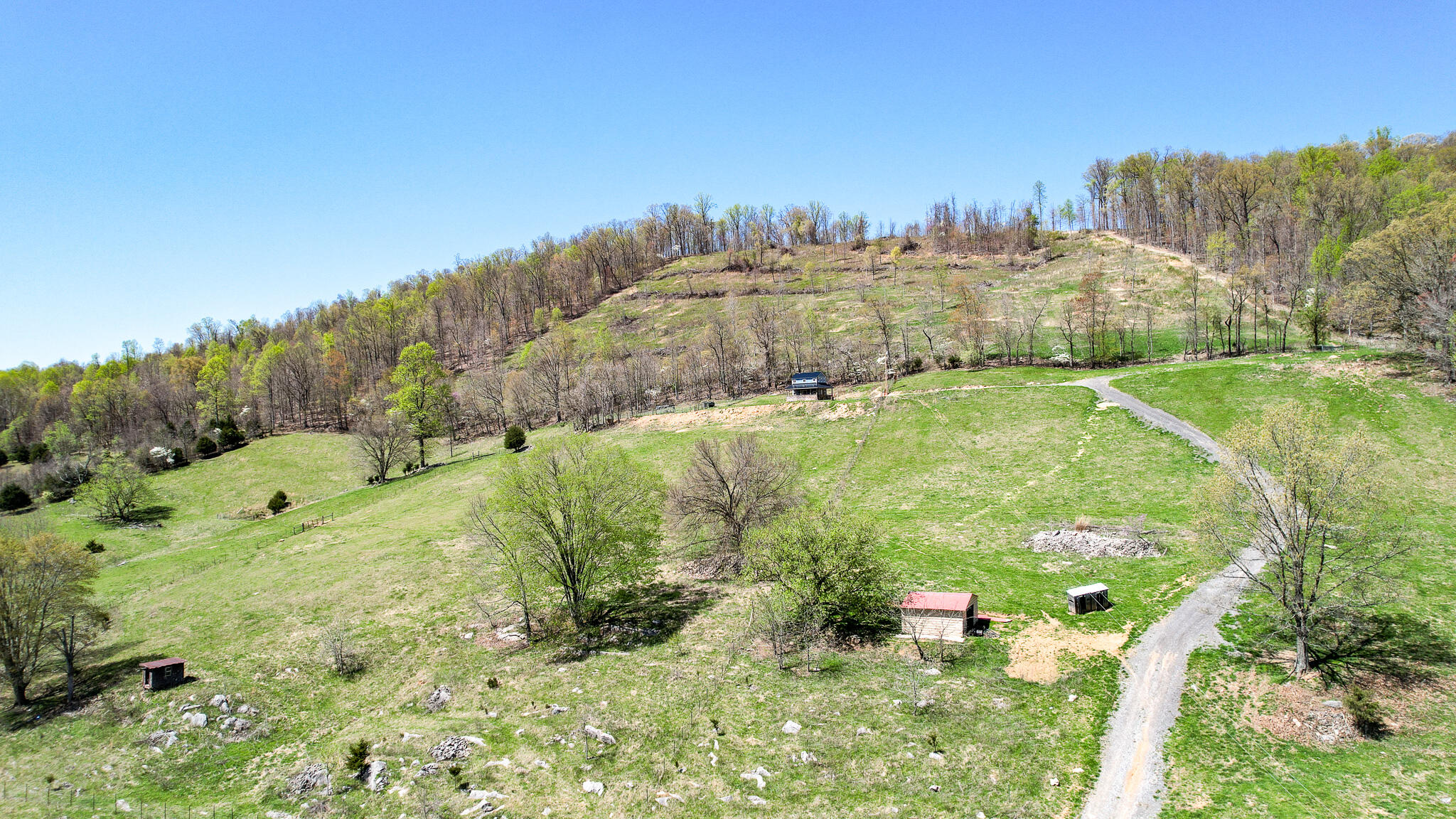 6149 Clinch Mountain Road Eidson, TN 37731 - Photo 7 of 46 DJI_0356
