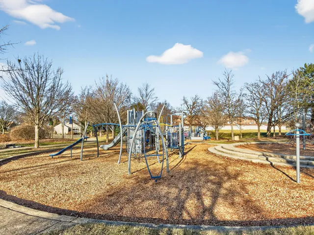 a view of a yard with a slide and large trees
