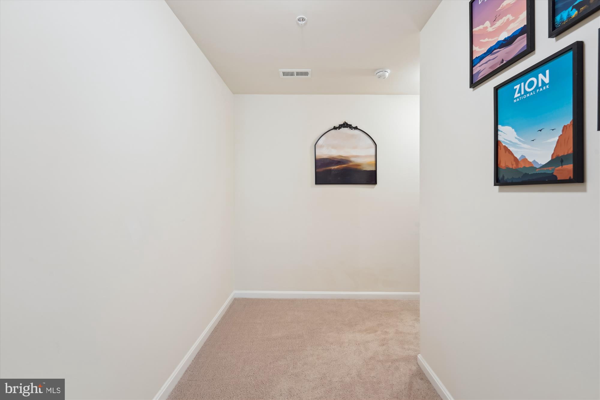 1316 Sentry Way Prince Frederick, MD 20678 - Photo 42 of 49 Hall (basement)