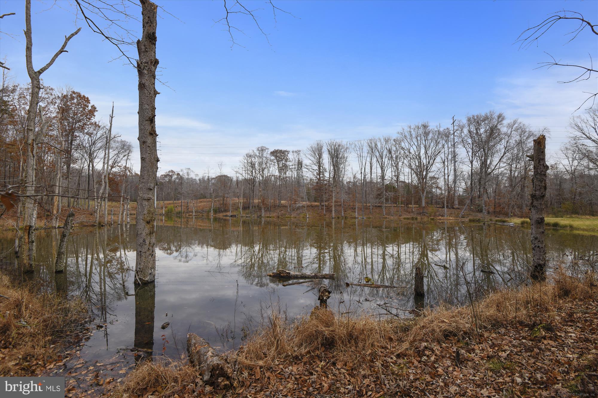 1316 Sentry Way Prince Frederick, MD 20678 - Photo 48 of 49 Gallahan's Choice Lake