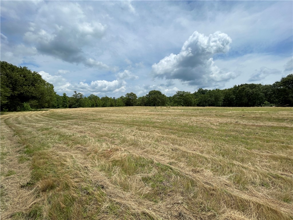 254 Corbin Road Honea Path, SC 29654 - Photo 35 of 44