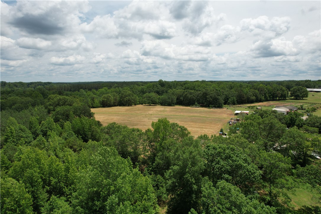 254 Corbin Road Honea Path, SC 29654 - Photo 37 of 44
