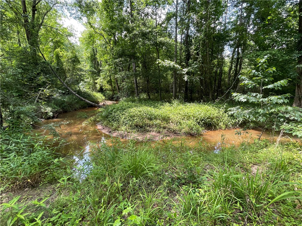 254 Corbin Road Honea Path, SC 29654 - Photo 38 of 44