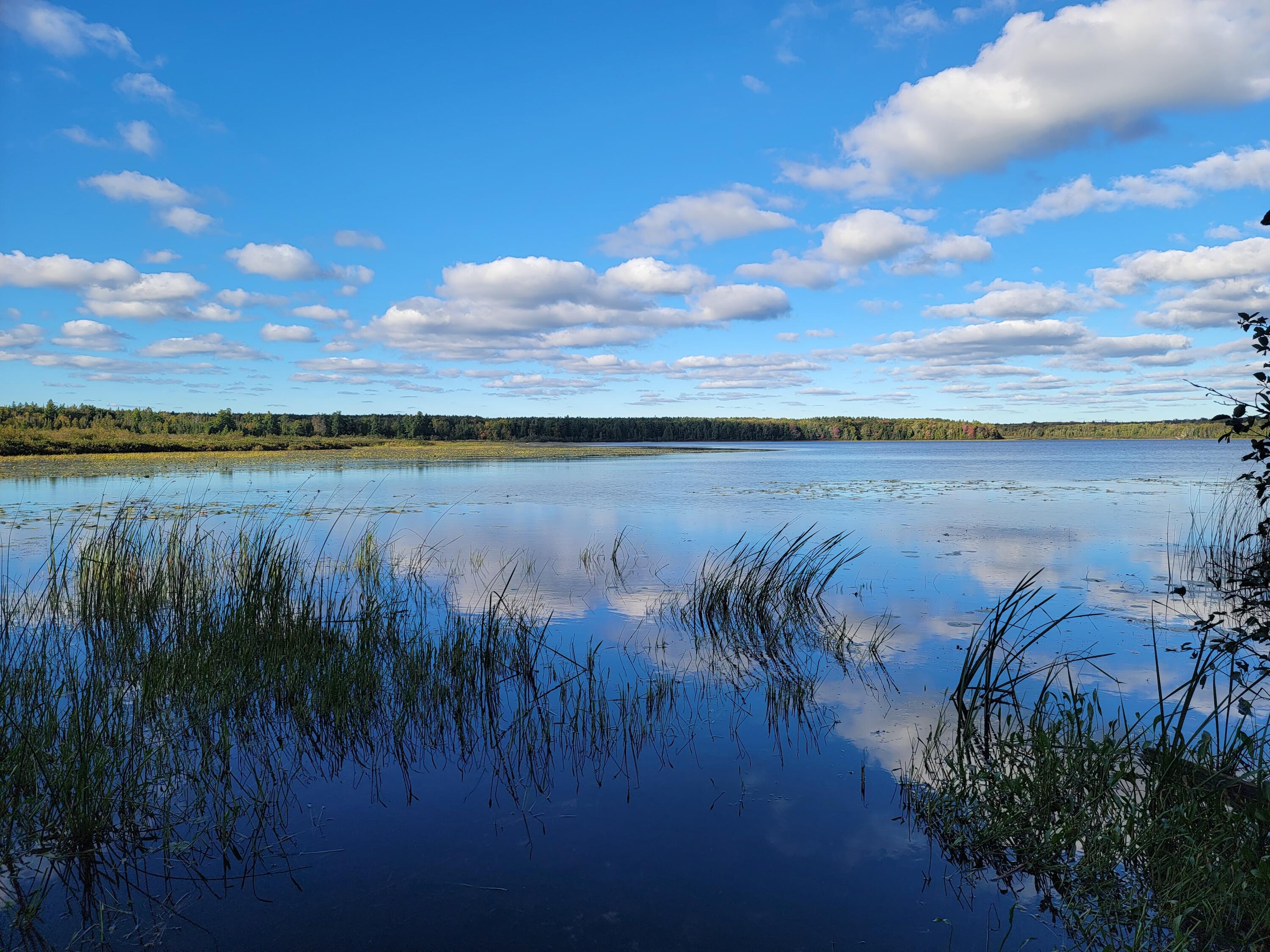 Lot 1 Brevort Camp Road Moran, MI 49760 - Photo 1 of 66 Gallery Image 1