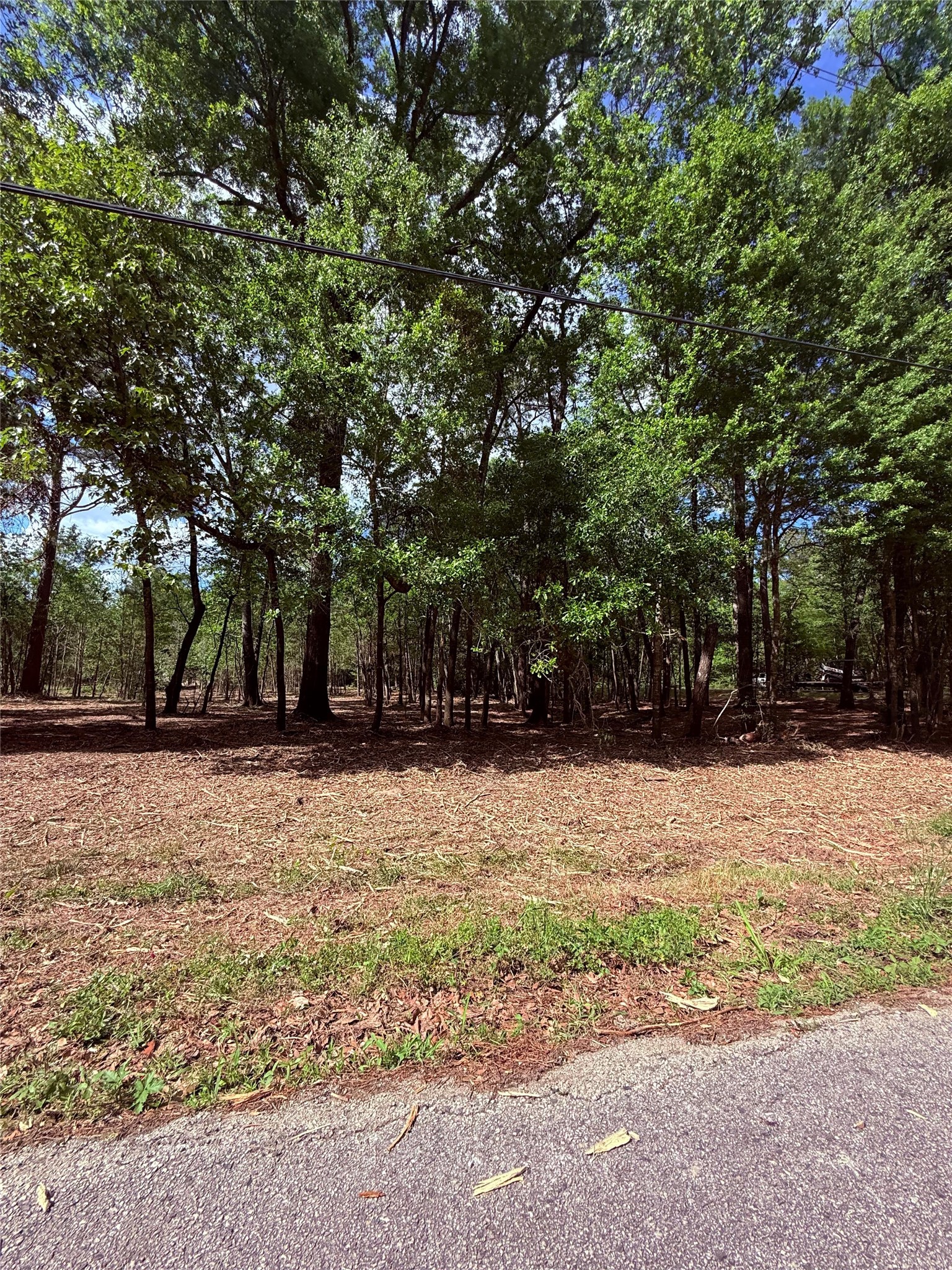 0 Daniel Street Magnolia, TX 77354 - Photo 8 of 14
