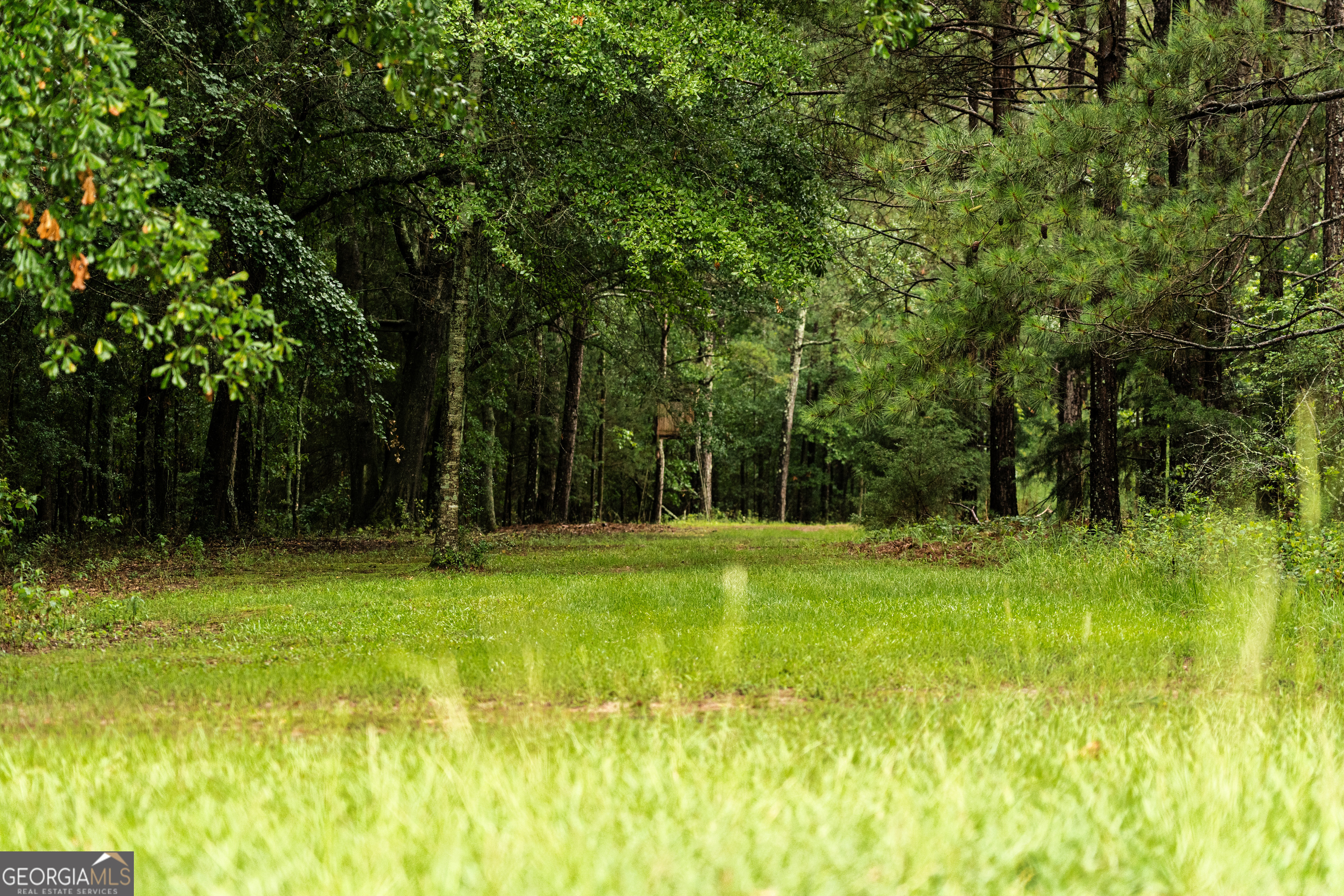 990 Highway 49 Americus, GA 31719 - Photo 78 of 121