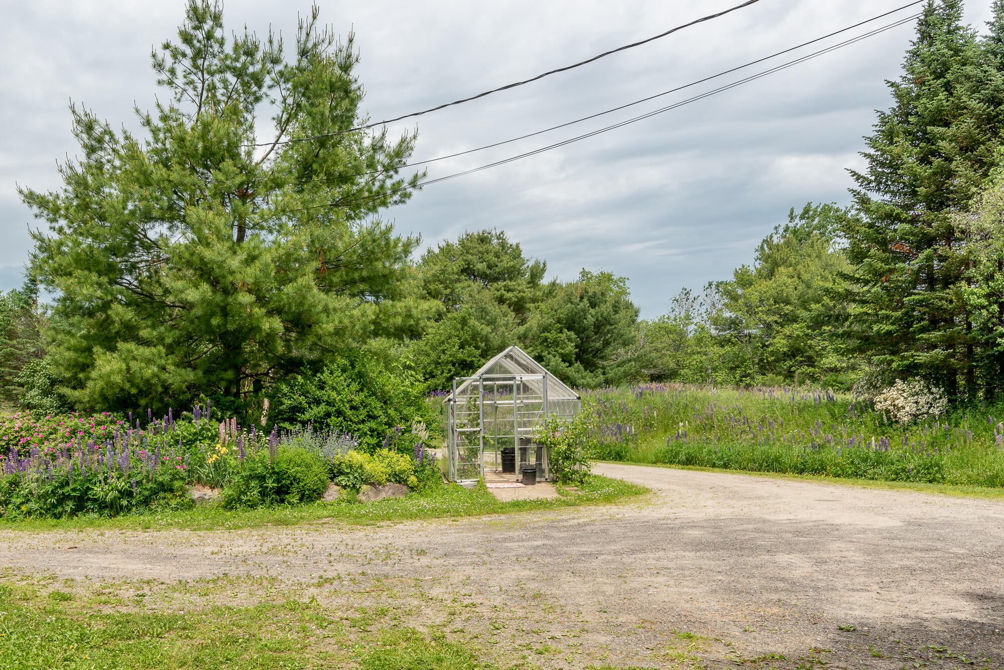 303 Anderson Road Warren, ME 04864 - Photo 26 of 32 303 Anderson Road - Hang Your Hat Photog