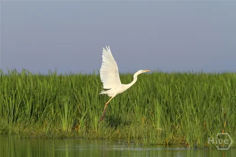 $699,900 | 601 6th Street, Unit B, Tybee Island, GA 31328