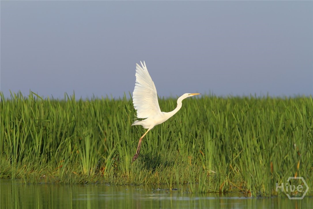 601 6th Street, Unit B Tybee Island, GA 31328 - Photo 39 of 39