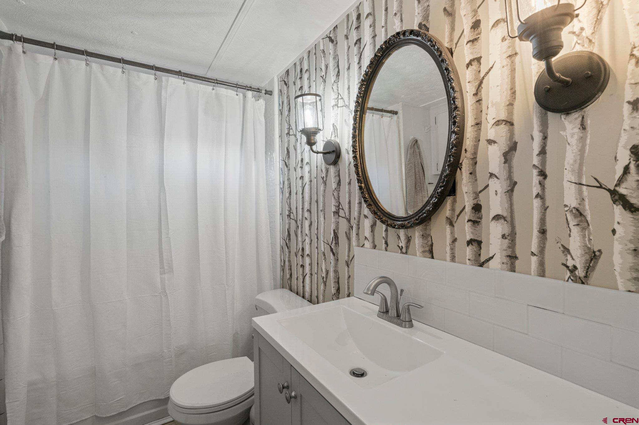 485 Florida Road, Unit D6 Durango, CO 81301 - Photo 16 of 35 a bathroom with a toilet sink and mirror