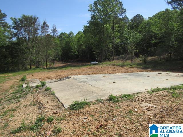 596 Possum Trot Road, Unit 1 Piedmont, AL 36272 - Photo 8 of 15 Gallery Image 8