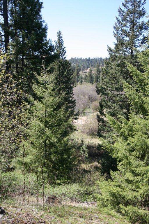 9608 South Madison Road Valleyford, WA 99036 - Photo 20 of 20 Gallery Image 20