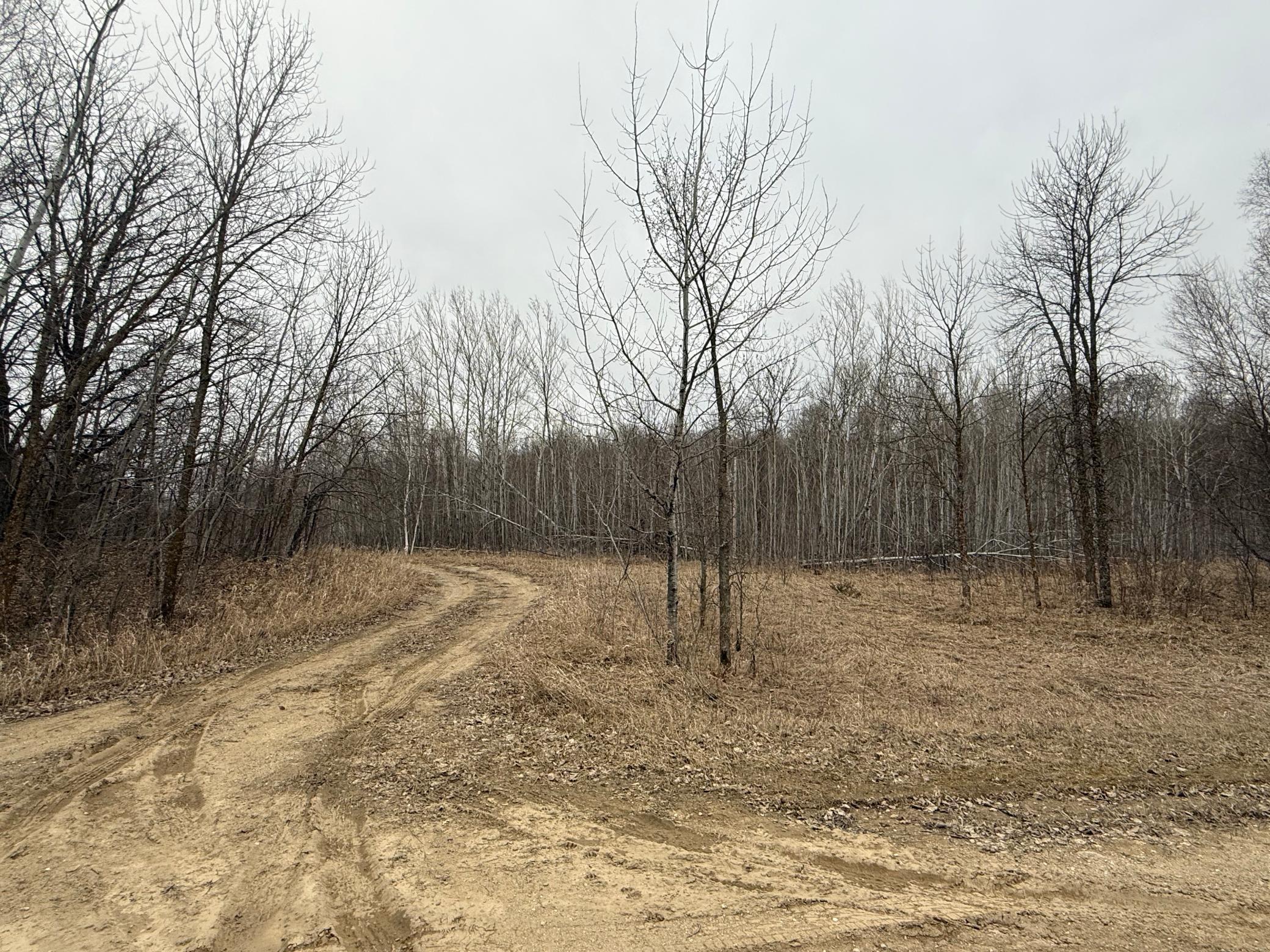 Tbd Spring Lake Road Detroit Lakes, MN 56501 - Photo 1 of 1 Gallery Image 1