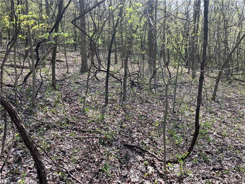 1938 Beham Ridge Road Claysville, PA 15323 - Photo 3 of 37