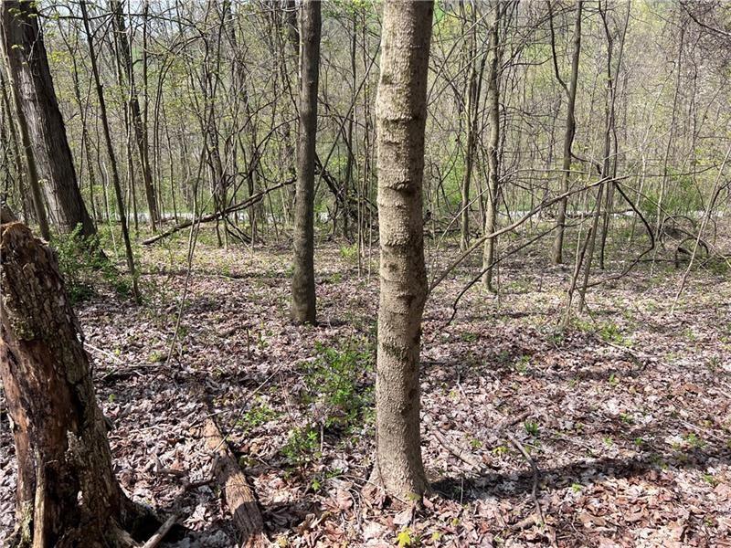 1938 Beham Ridge Road Claysville, PA 15323 - Photo 5 of 37