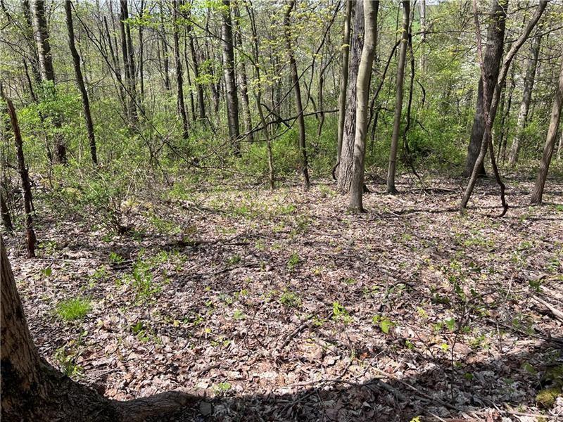 1938 Beham Ridge Road Claysville, PA 15323 - Photo 9 of 37