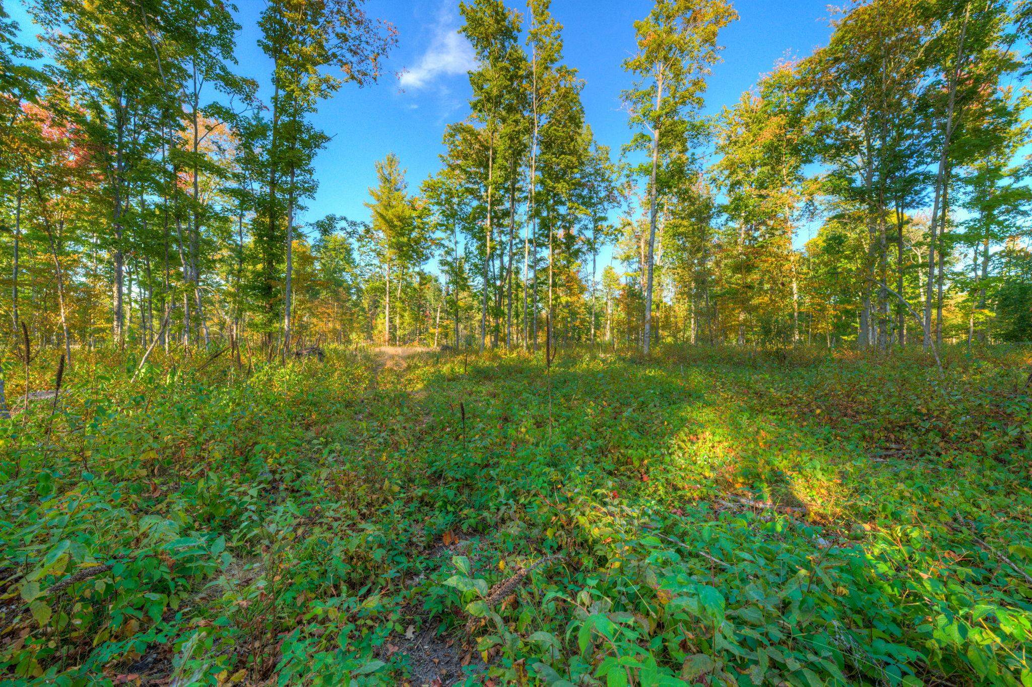 755 North Carmean Road Interlochen, MI 49643 - Photo 31 of 65
