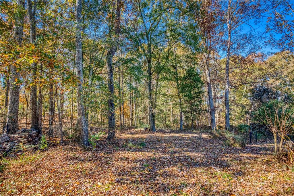 2521 Culpepper Trail Southeast Bethlehem, GA 30620 - Photo 79 of 83 a backyard of a house with lots of green space
