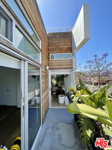 a view of a potted plant in front of a building