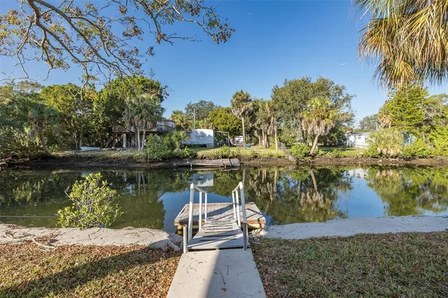 a white house that has a tree in front of it