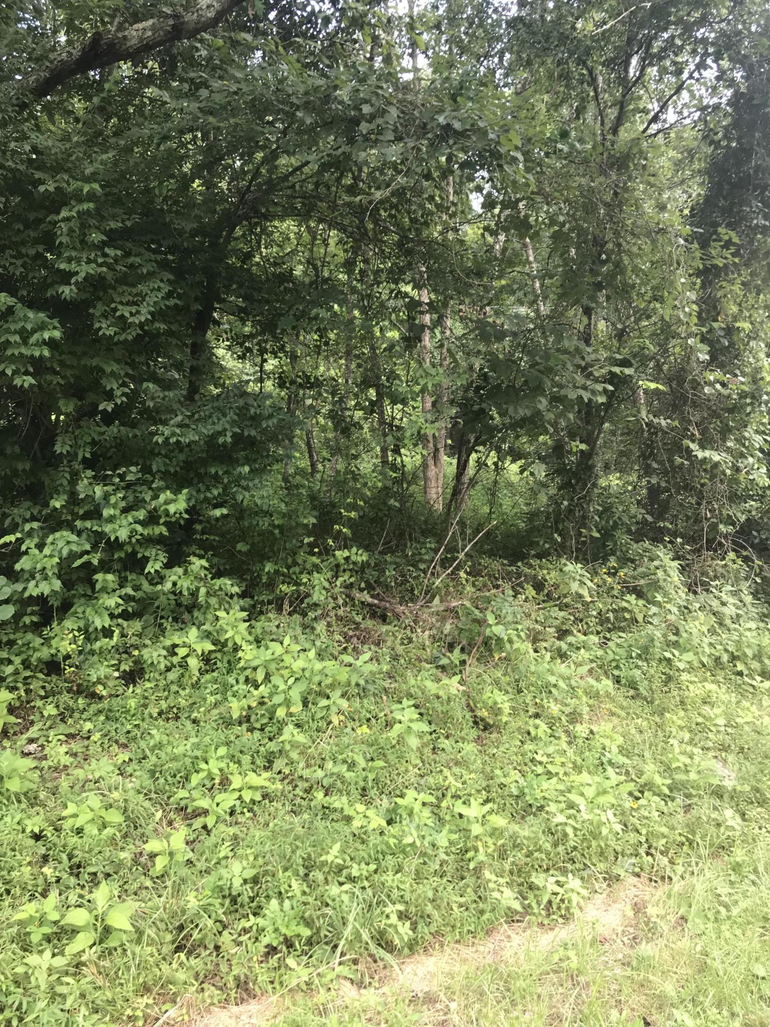 1268 Echo Point Road Bronston, KY 42518 - Photo 4 of 8 44821CE6-2C8B-4130-8A01-67890D307252<|><