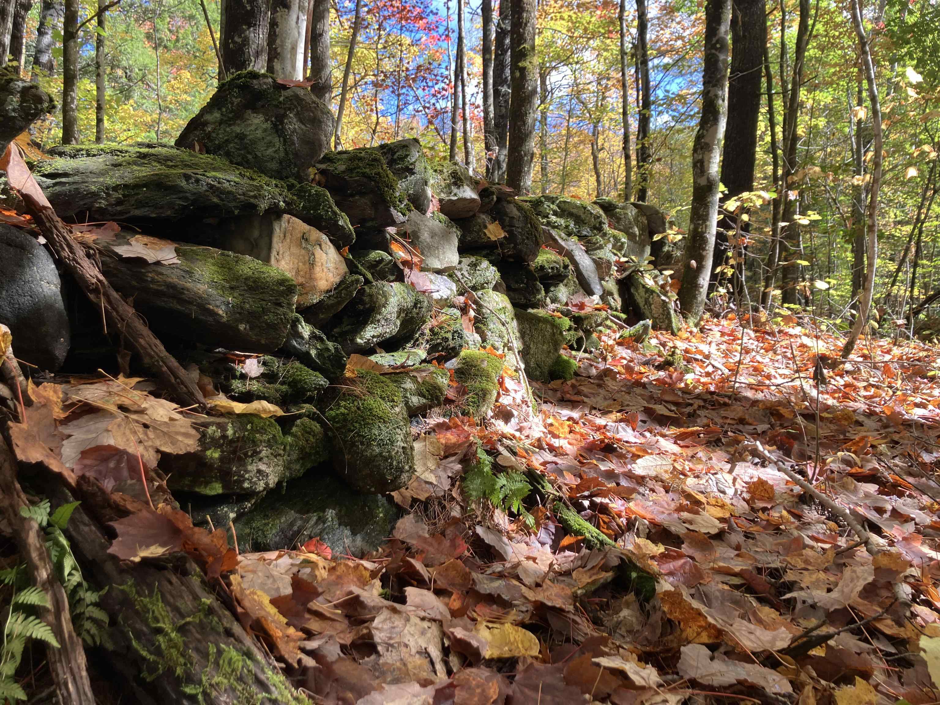 95 Highbridge Road Lyme, NH 03768 - Photo 5 of 8