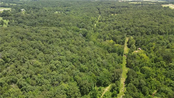 $230,000 | 881 Driftwood Drive, Pineville, AR 72566