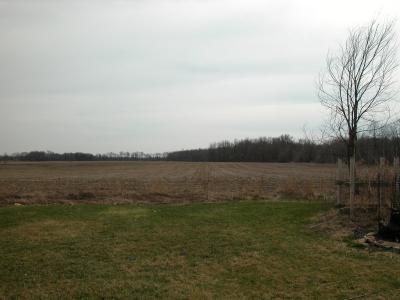 266 West Olive Branch Road Galien, MI 49113 - Photo 3 of 6 Additional Photo