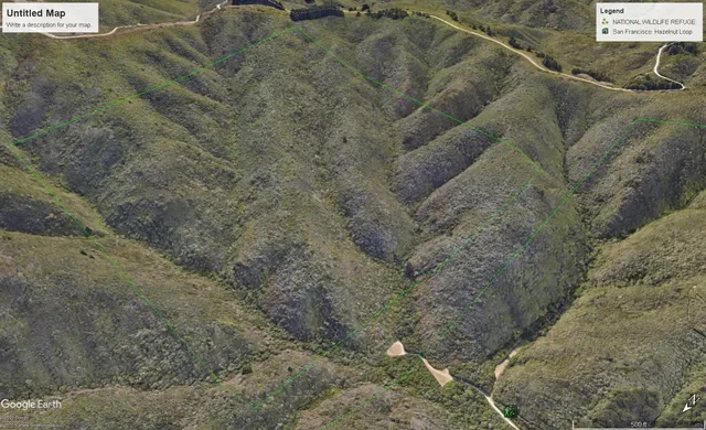a view of a dry yard with green space