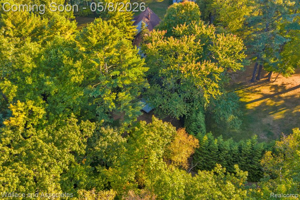 3941 Lakeshore Road Lexington, MI 48450 - Photo 3 of 24