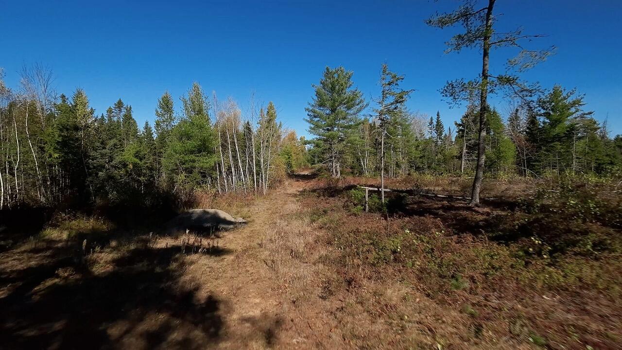 Lot 20 Town Farm Road Greenbush, ME 04418 - Photo 11 of 67 Adams 16 Large