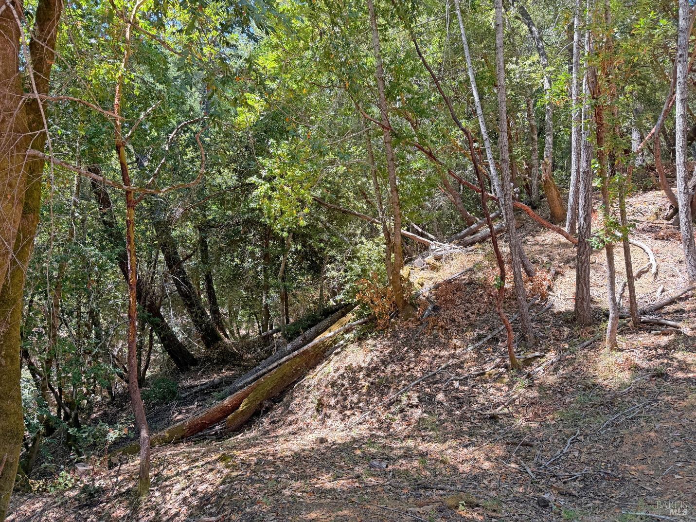 26006 Peacock Road Willits, CA 95490 - Photo 11 of 13 Gallery Image 11