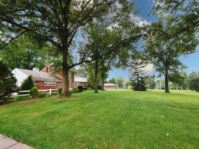 a view of a trees with a big yard
