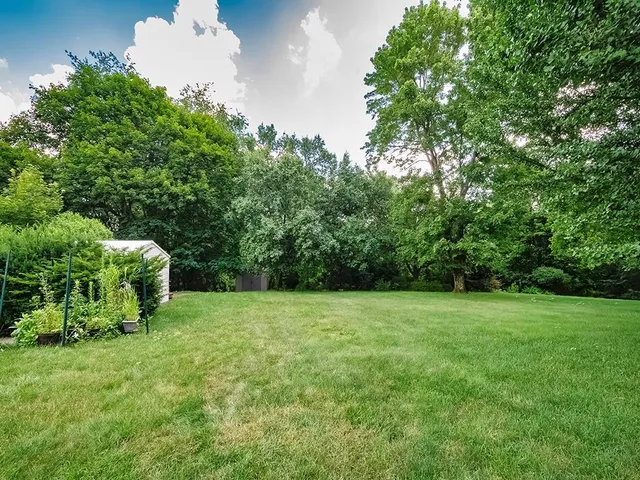 a view of a grassy field with trees in the background