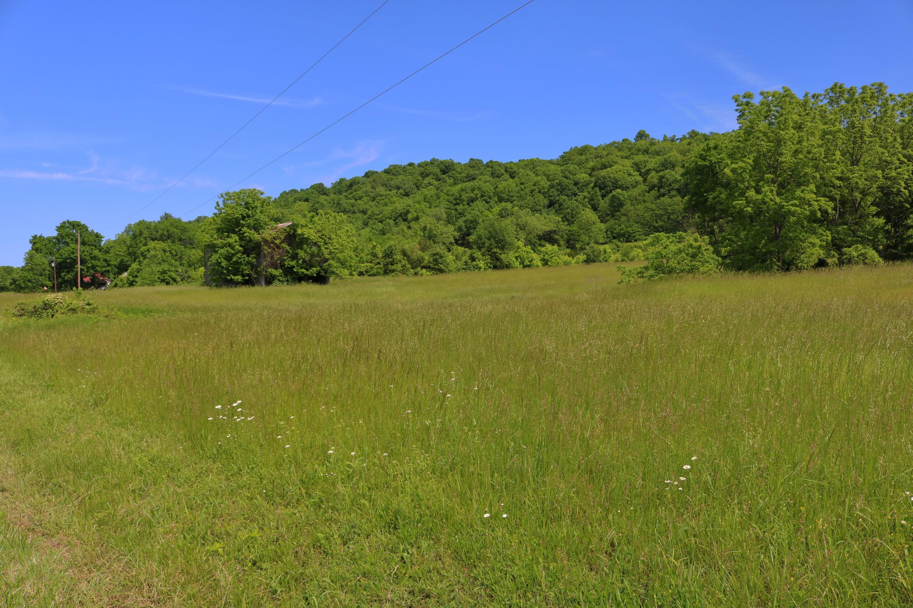 25.78 McDonald Ferry Road Frankfort, KY 40601 - Photo 10 of 14