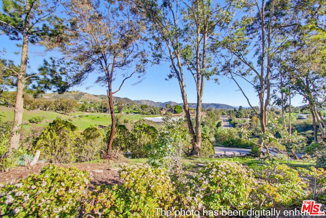 3709 Buena Creek Road Vista, CA 92084 - Photo 37 of 62 a view of a garden with a tree