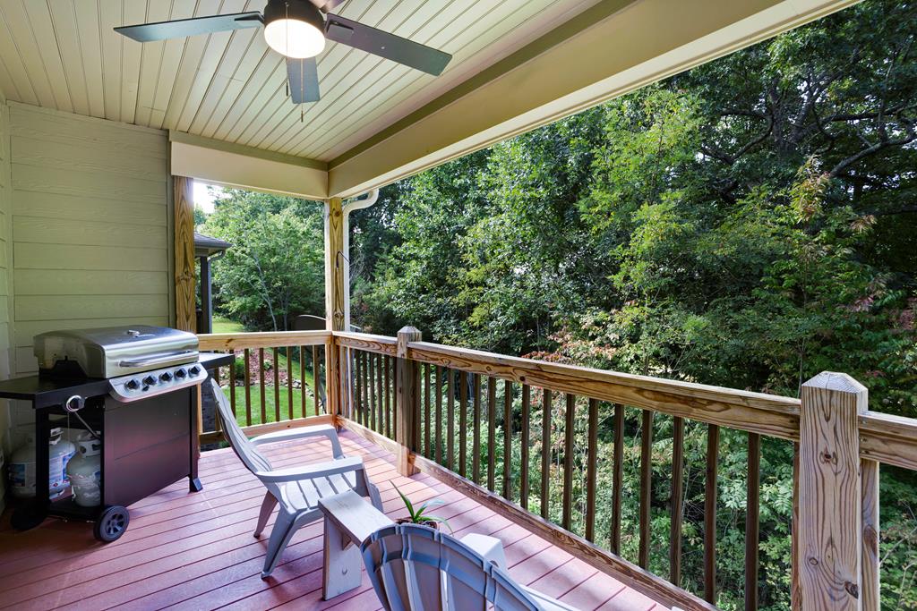 300 Licklog Ridge Hayesville, NC 28904 - Photo 21 of 53 Gallery Image 21