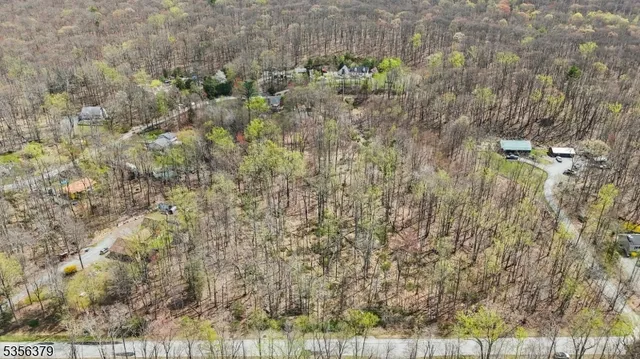 a view of a yard with trees