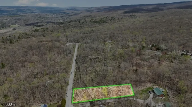 a close up of a plant